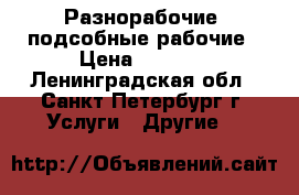 Разнорабочие, подсобные рабочие › Цена ­ 1 500 - Ленинградская обл., Санкт-Петербург г. Услуги » Другие   